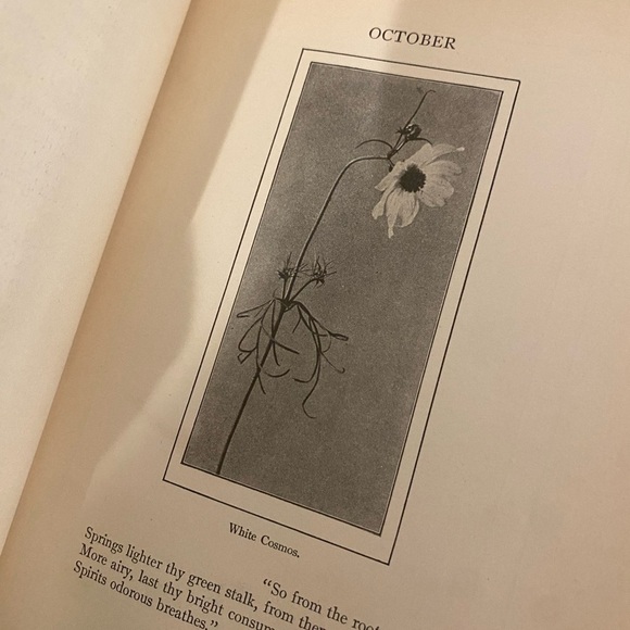 The School Garden Book By Waldo Emerson Antique Book
' - Picture 6 of 7